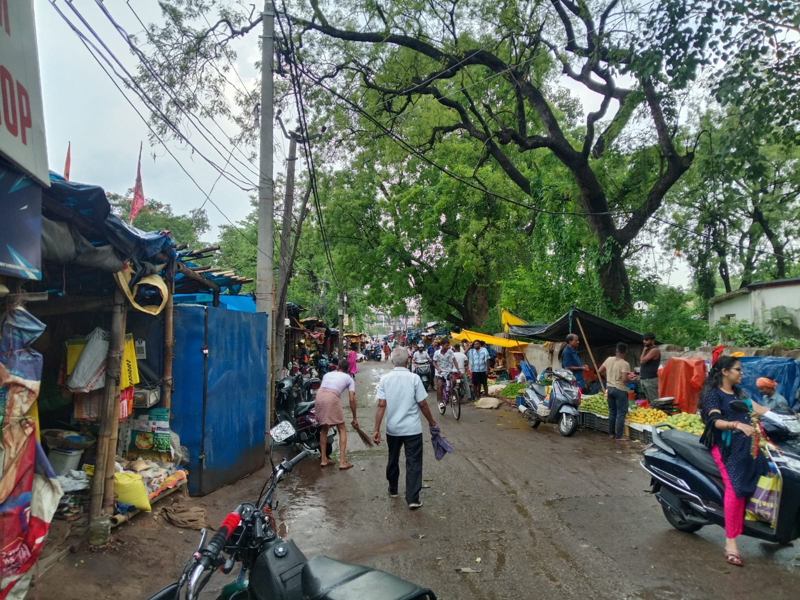 सेरायकेला में झमाझम बारिश से 6 डिग्री तक गिरा तापमान