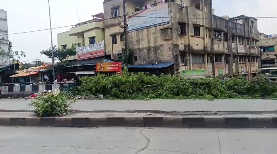 Adityapur News: आदित्यपुर नगर निगम की घोर लापरवाही, एस-टाइप मुख्य सड़क पर फेंकी गई पेड़ की डालियां, बड़े हादसे को न्योता, डीसी भी साधे हैं चुप्पी
